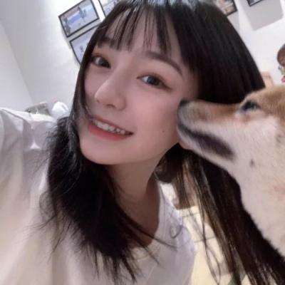 战与法之歌游戏